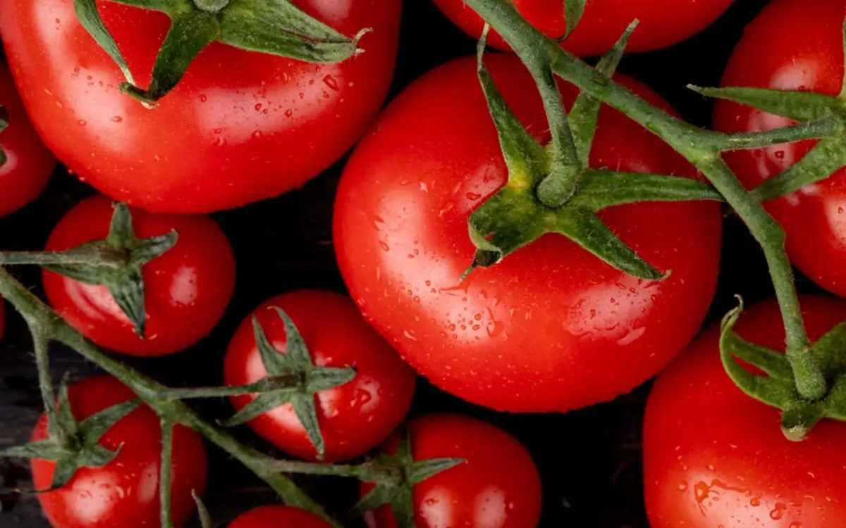 Come piantare correttamente i pomodori: ecco le distanze da rispettare tra le piantine Immagine selezionata