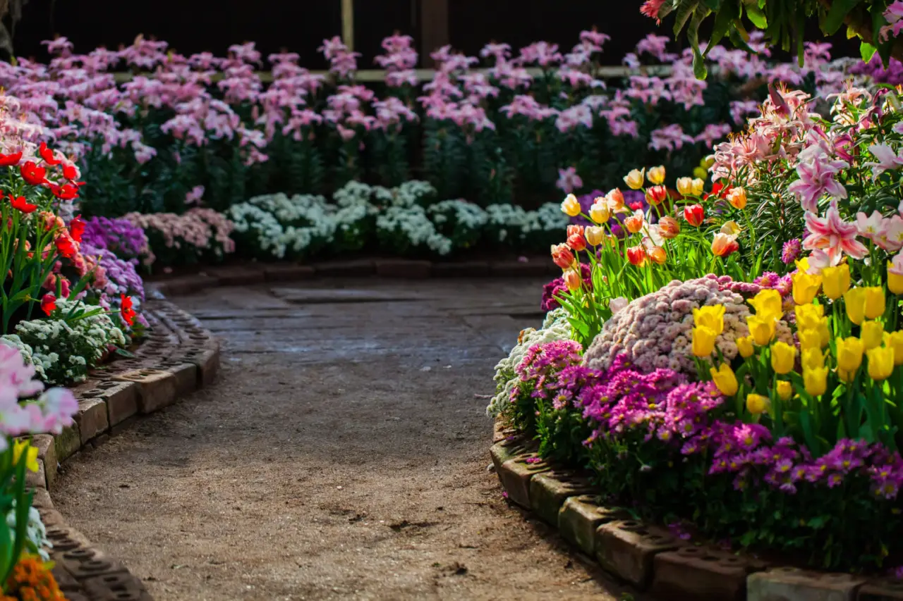 Prepara il giardino: ecco le zone dove arriveranno i colibrì quest’anno Immagine selezionata