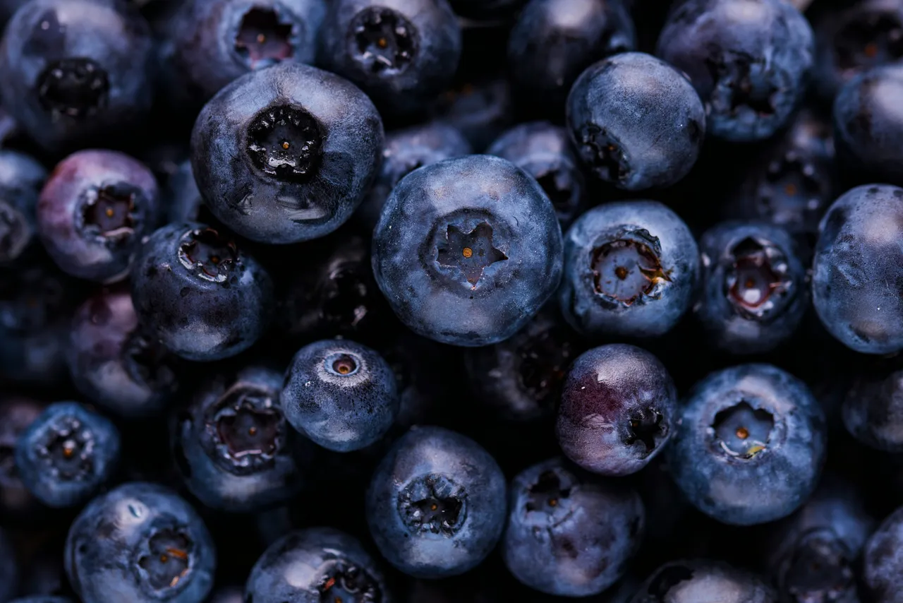 Il frutto poco conosciuto che favorisce la perdita di peso e migliora la memoria ideale per la colazione Il frutto poco conosciuto che favorisce la perdita di peso e migliora la memoria ideale per la colazione