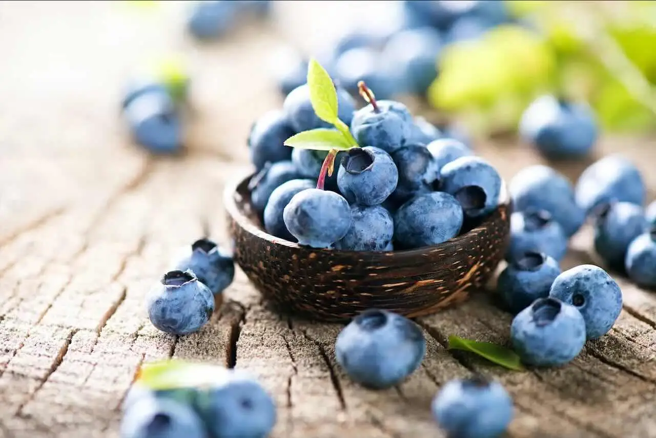 Il frutto poco conosciuto che favorisce la perdita di peso e migliora la memoria ideale per la colazione Immagine selezionata