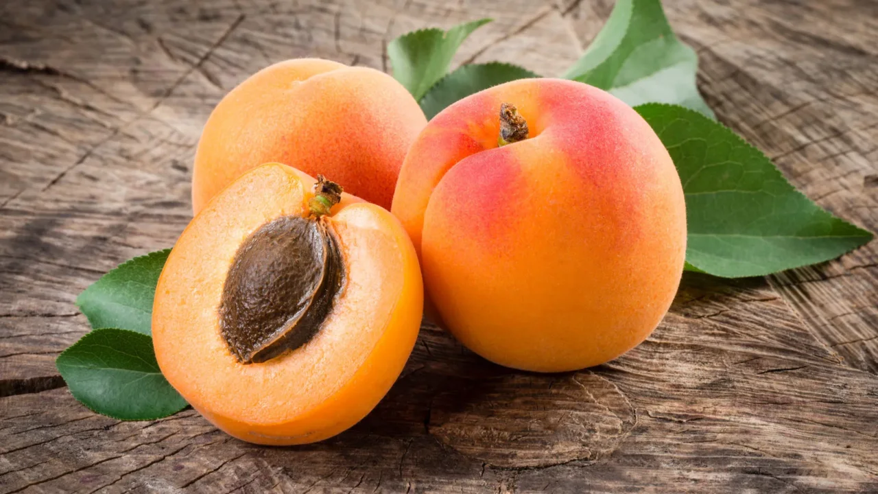 Colazione con albicocche i benefici per aumentare l’energia al risveglio Immagine selezionata