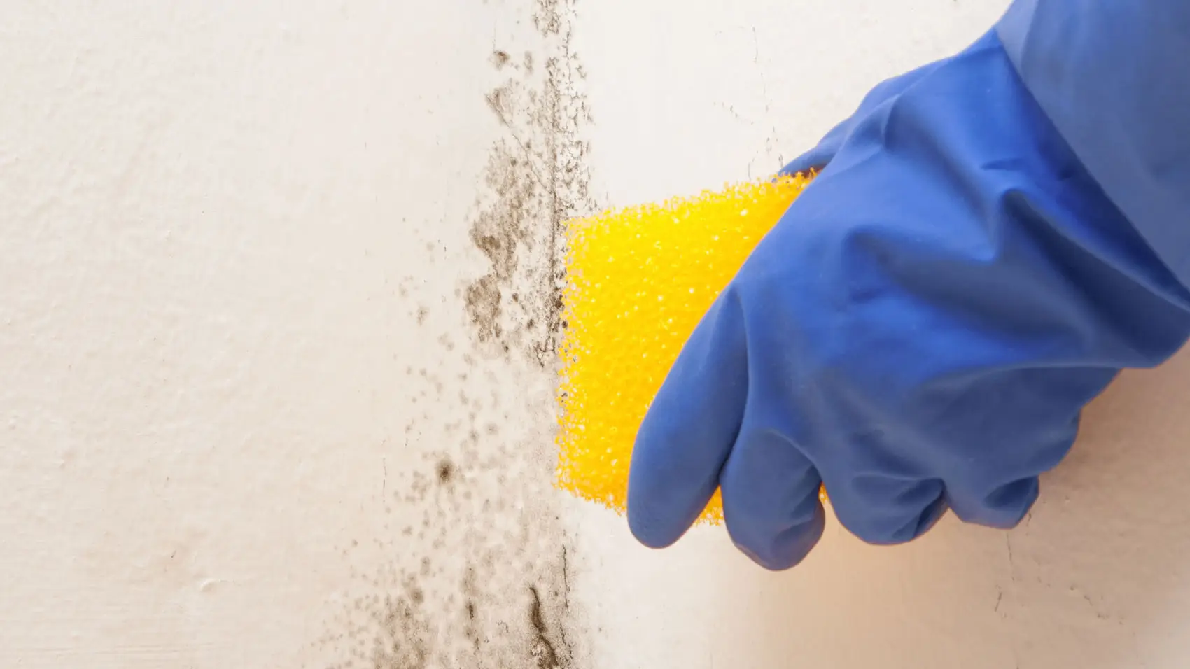 Come eliminare la muffa dalla doccia in pochi minuti con un metodo semplice ed efficace Immagine selezionata