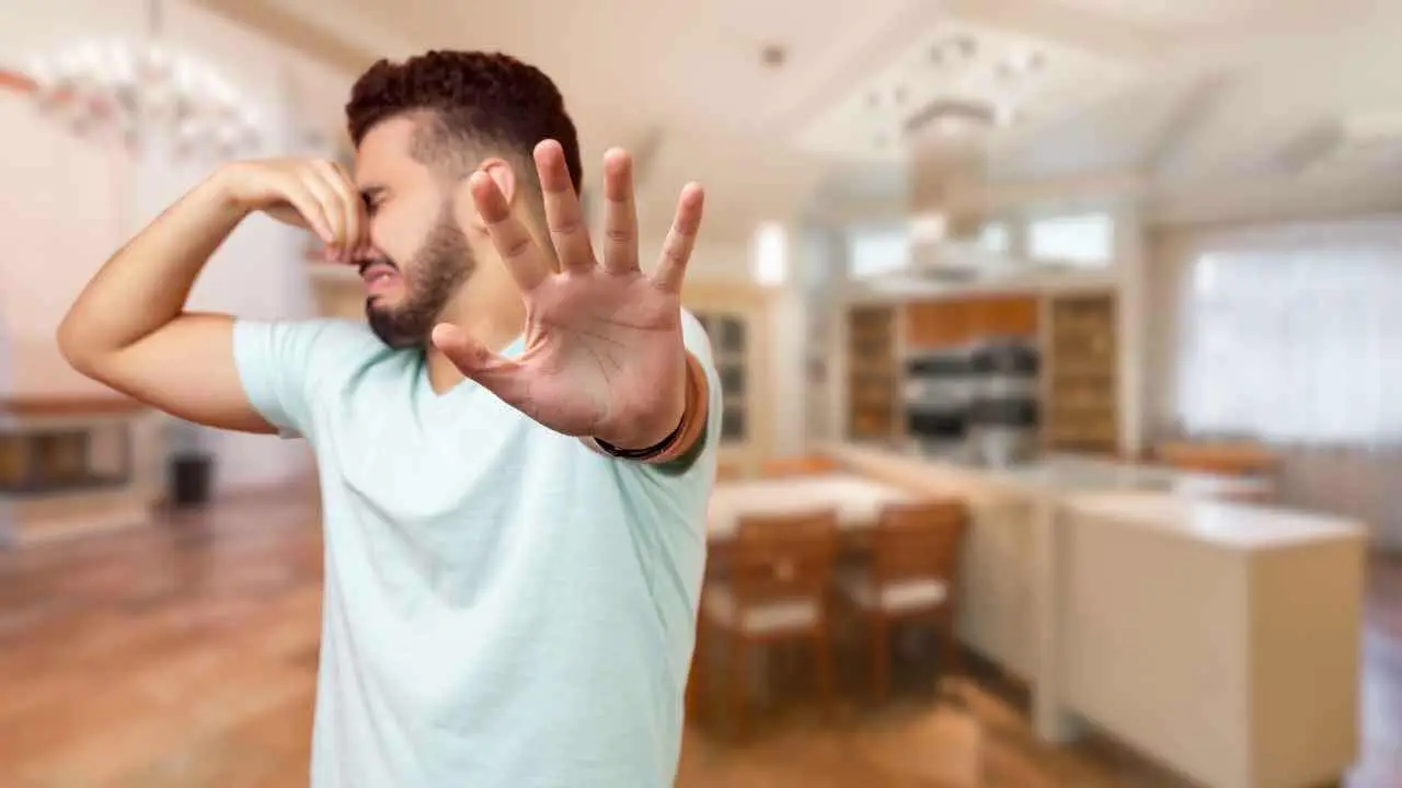 Soluzioni efficaci per rimuovere i cattivi odori dai tessuti domestici Immagine selezionata