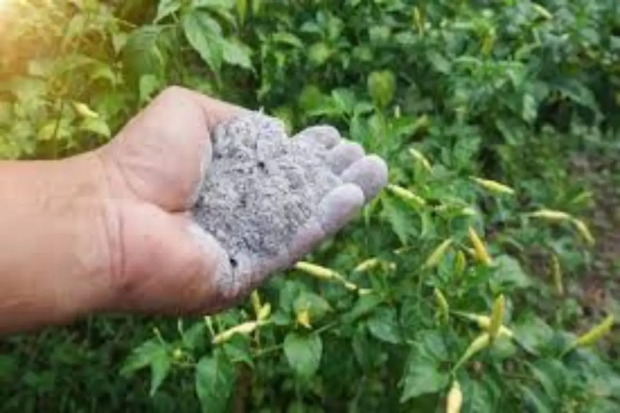Il piccolo arbusto che profuma tutto il tuo giardino anche in inverno Immagine selezionata