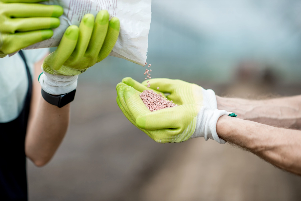 Guida ai concimi naturali, quali informazioni cercare sull’etichetta Immagine selezionata