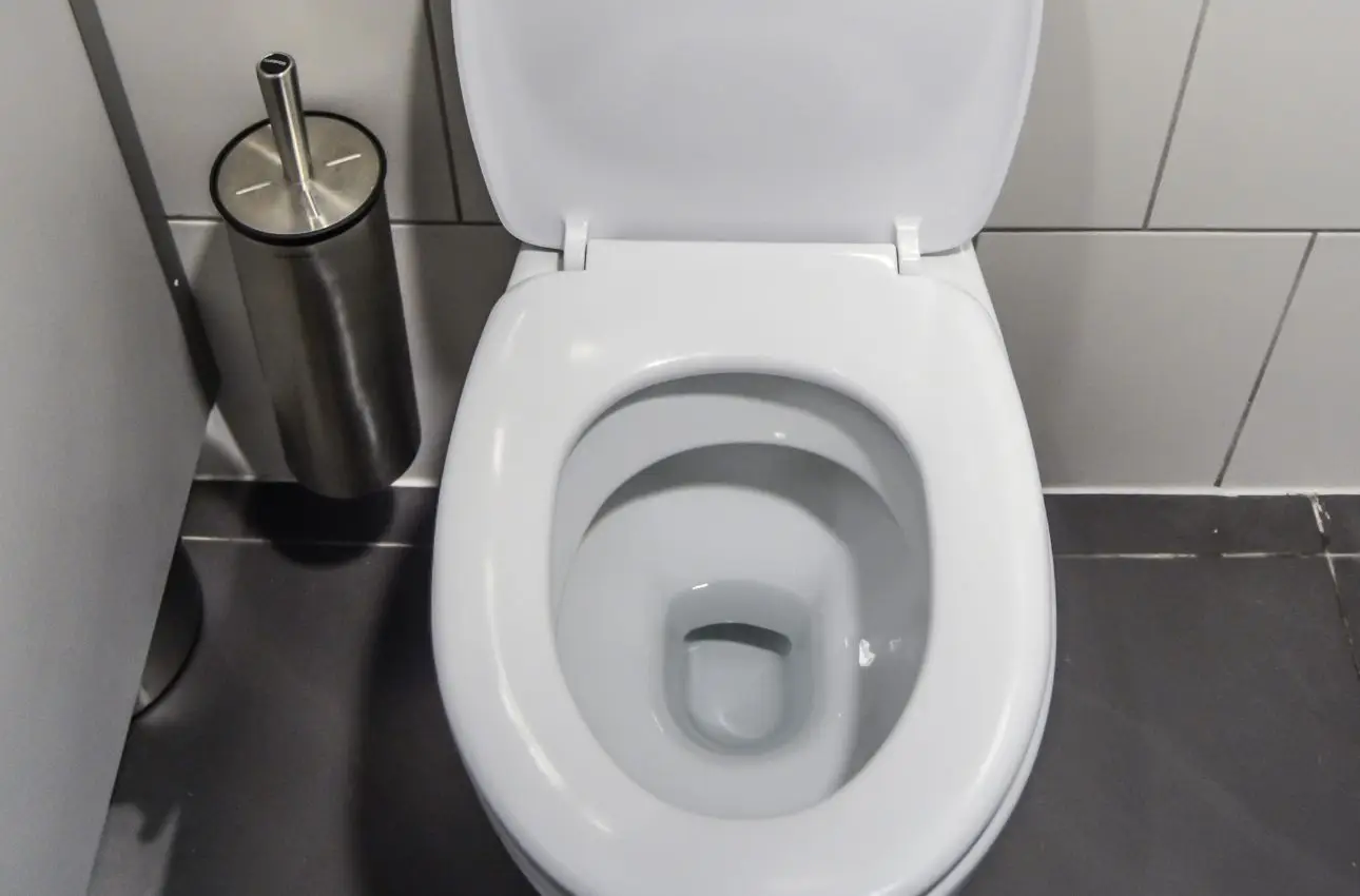 Sanitari puliti senza l’uso di detergenti aggressivi Immagine selezionata