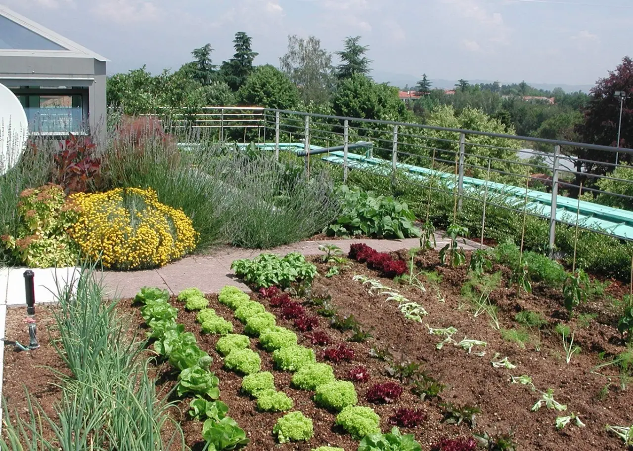 Come costruire un giardino pensile sul tuo tetto di casa Come costruire un giardino pensile sul tuo tetto di casa