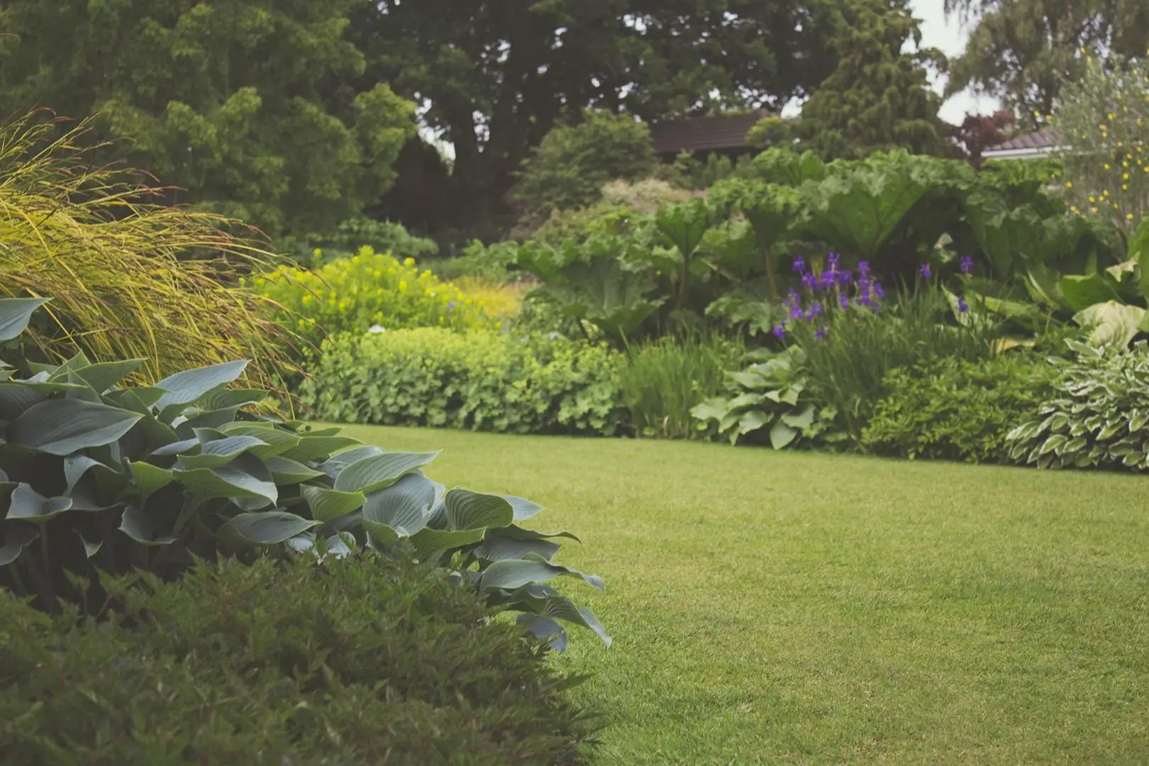 Come costruire un giardino pensile sul tuo tetto di casa Immagine selezionata