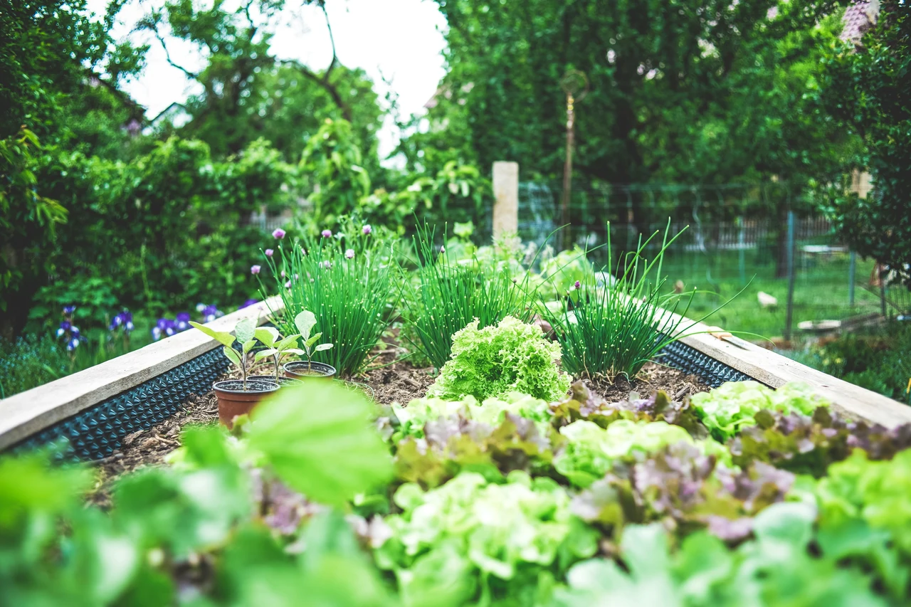 Come costruire un giardino pensile sul tuo tetto di casa Immagine selezionata