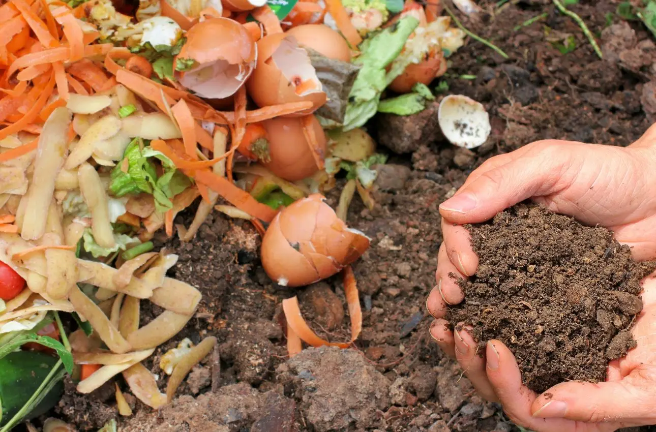 Il compost va coperto per evitare l’arrivo di animali Il compost va coperto per evitare l’arrivo di animali