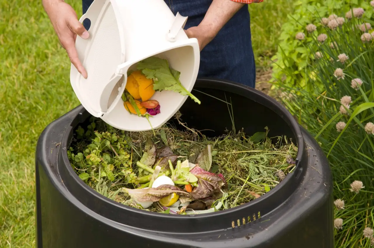Il compost va coperto per evitare l’arrivo di animali Il compost va coperto per evitare l’arrivo di animali