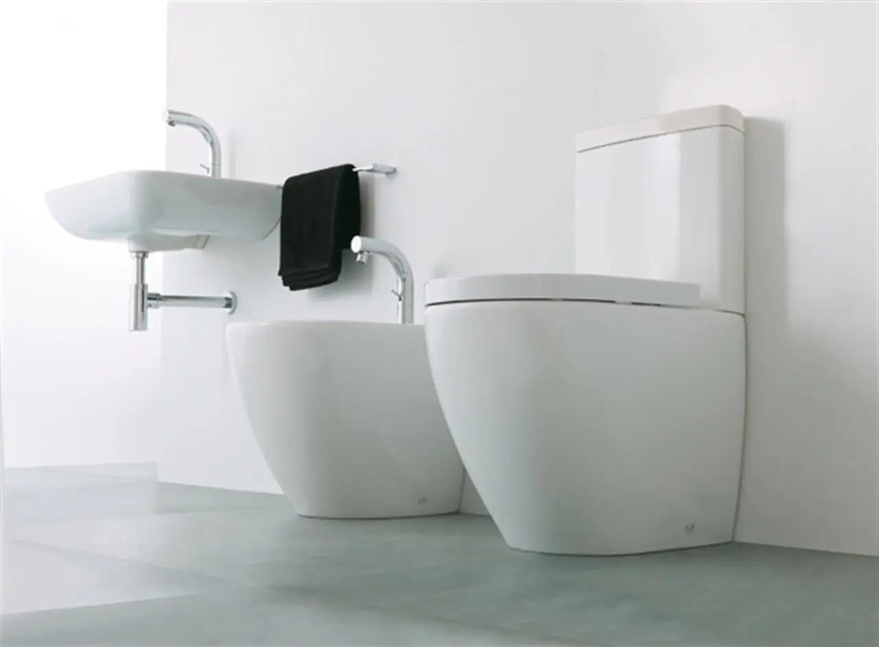 Guida pratica per pulire e igienizzare la doccetta del bidet Guida pratica per pulire e igienizzare la doccetta del bidet