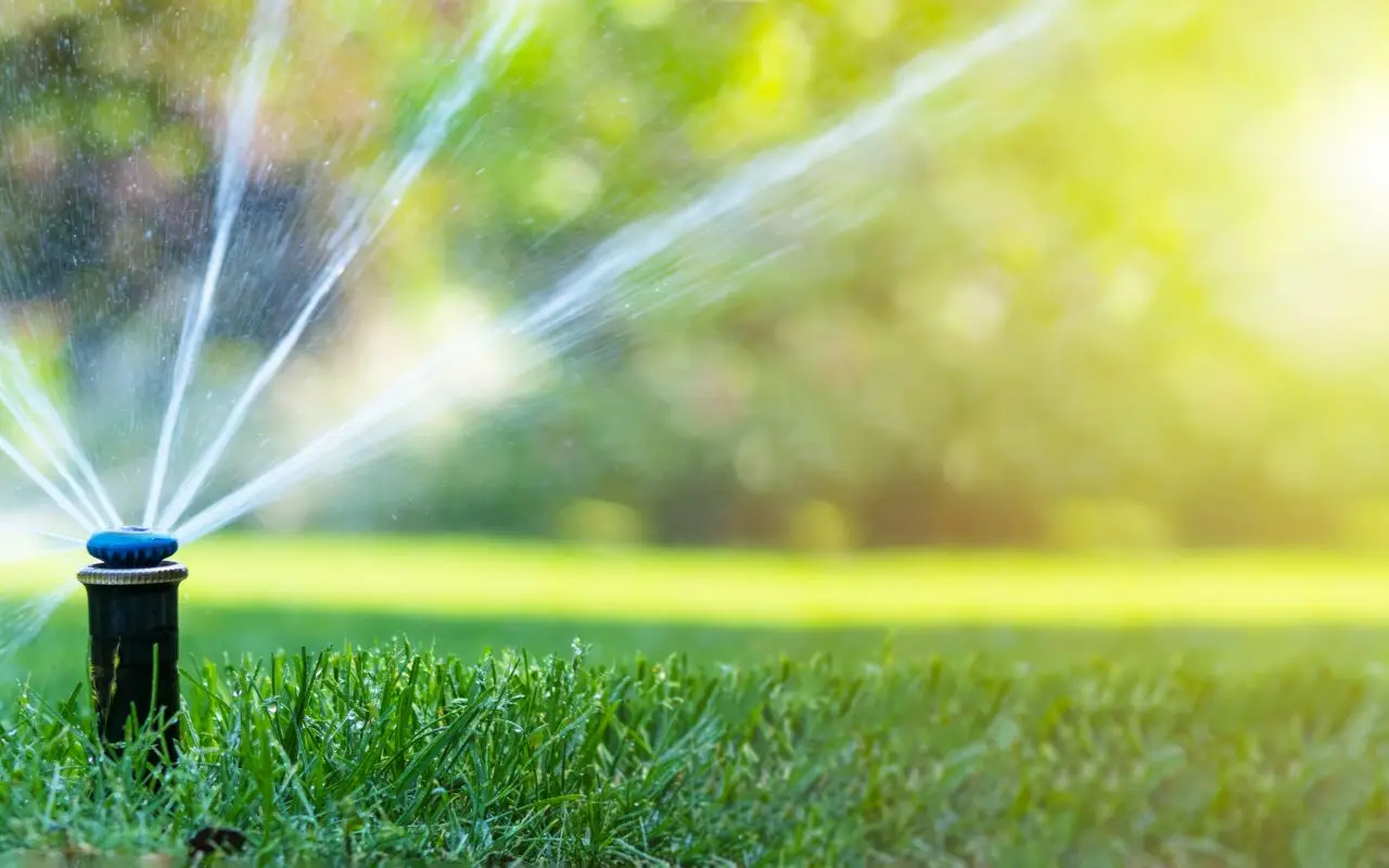 Il calcare nell’acqua danneggia le radici. Attenzione ai rischi Il calcare nell’acqua danneggia le radici. Attenzione ai rischi