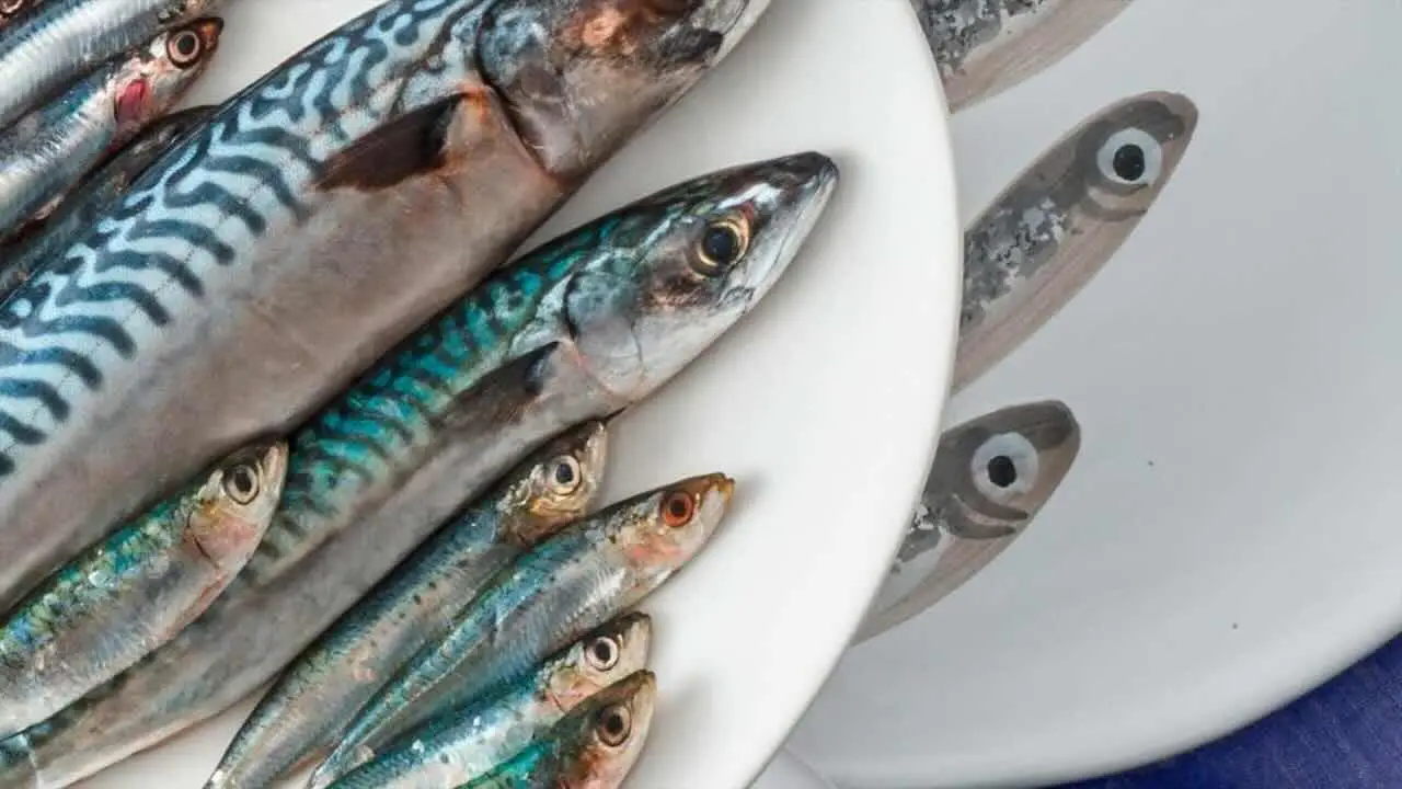 Pesce fresco o surgelato? I consigli dello chef per non sbagliare acquisto Pesce fresco o surgelato? I consigli dello chef per non sbagliare acquisto