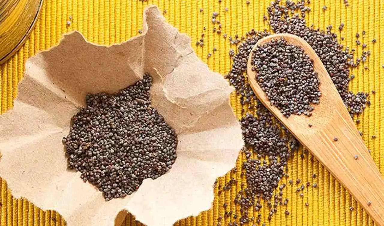 Semi di chia a digiuno: cosa accade davvero dopo una settimana Semi di chia a digiuno: cosa accade davvero dopo una settimana