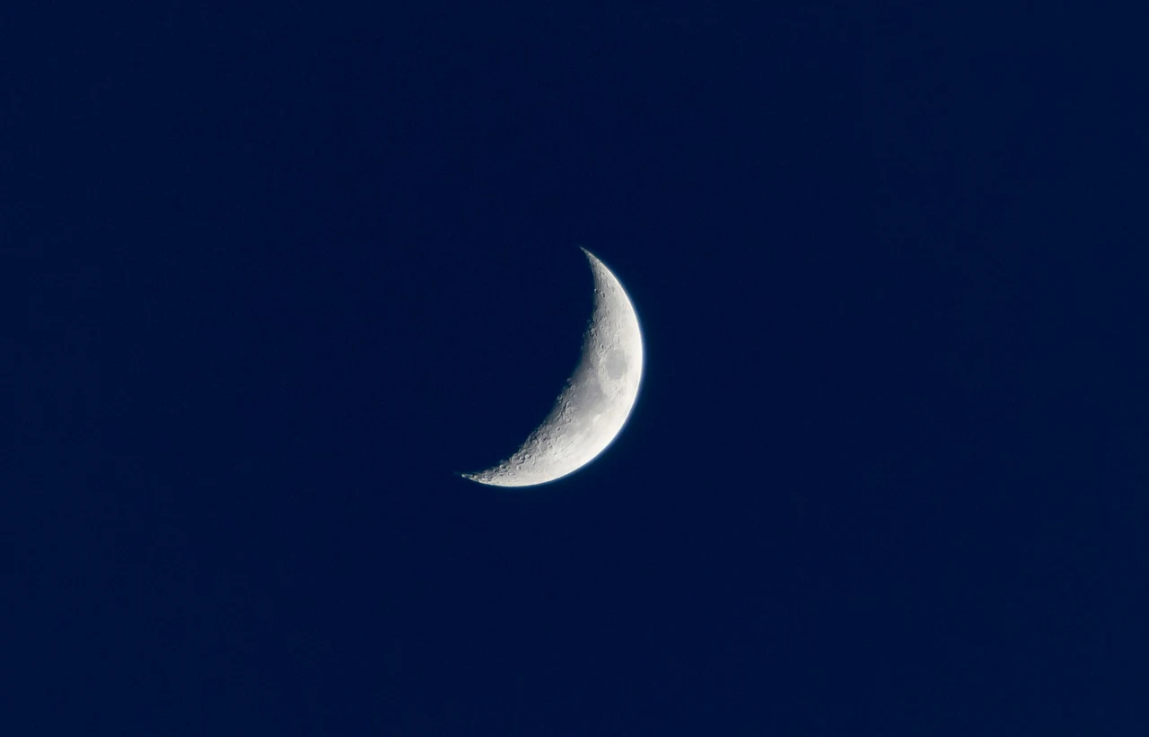 Non piantare nulla in questa fase lunare: il motivo è sorprendente Non piantare nulla in questa fase lunare: il motivo è sorprendente