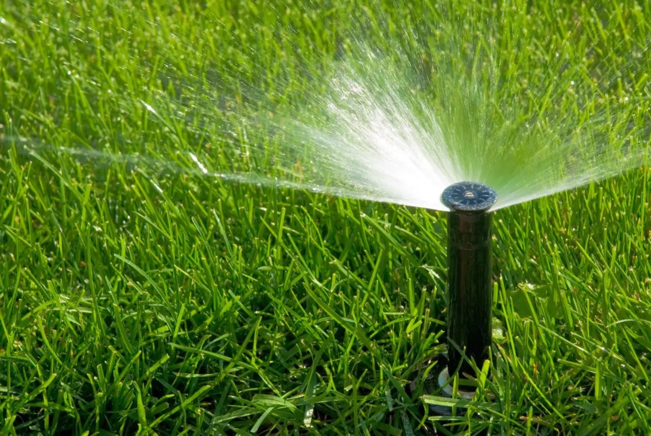 Irrigare il giardino con l’acqua piovana: ecco come raccoglierla Irrigare il giardino con l’acqua piovana: ecco come raccoglierla