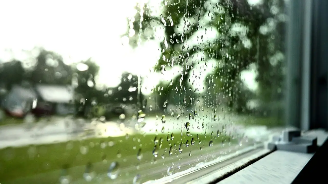 Irrigare il giardino con l’acqua piovana: ecco come raccoglierla SP - Barile o tanica con acqua piovana