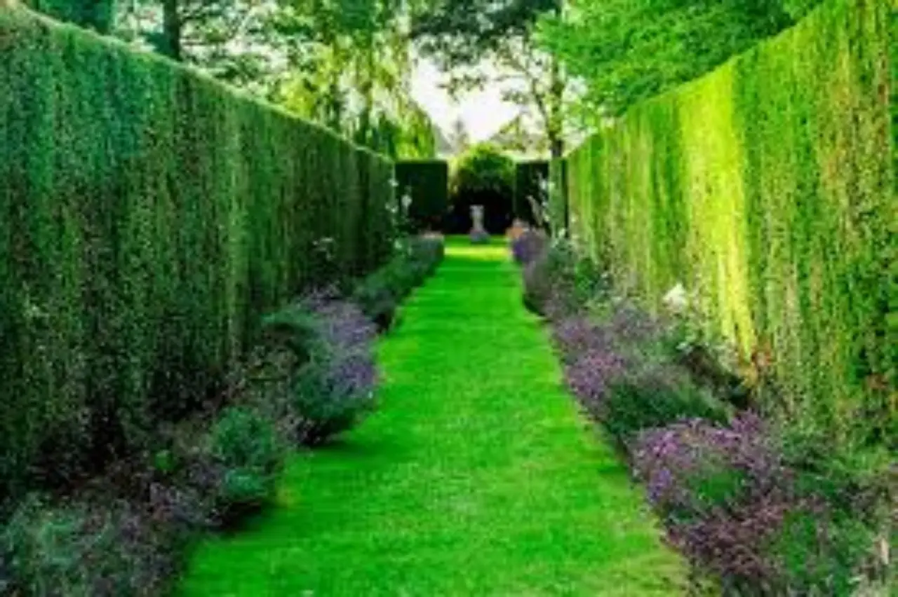 Irrigare il giardino con l’acqua piovana: ecco come raccoglierla SP - Barile o tanica con acqua piovana