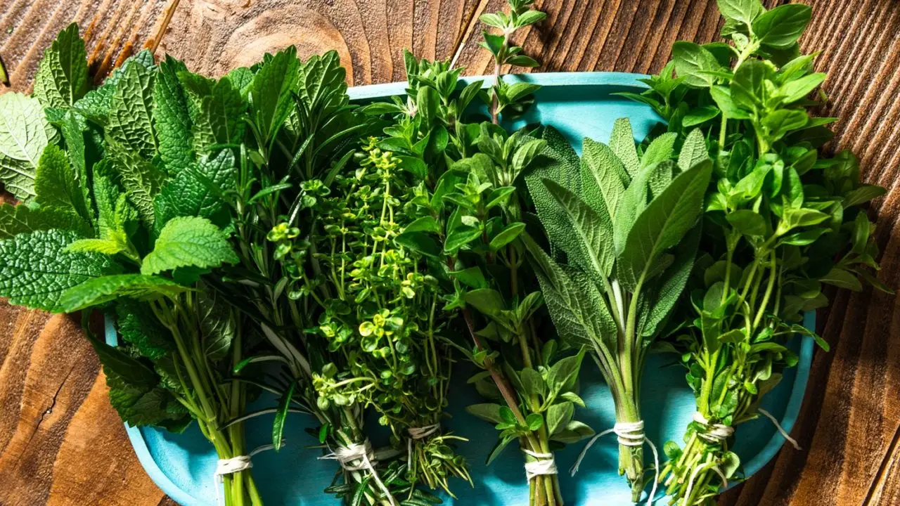 Piante aromatiche sul balcone: consigli per mantenerle sempre profumate Piante aromatiche sul balcone: consigli per mantenerle sempre profumate