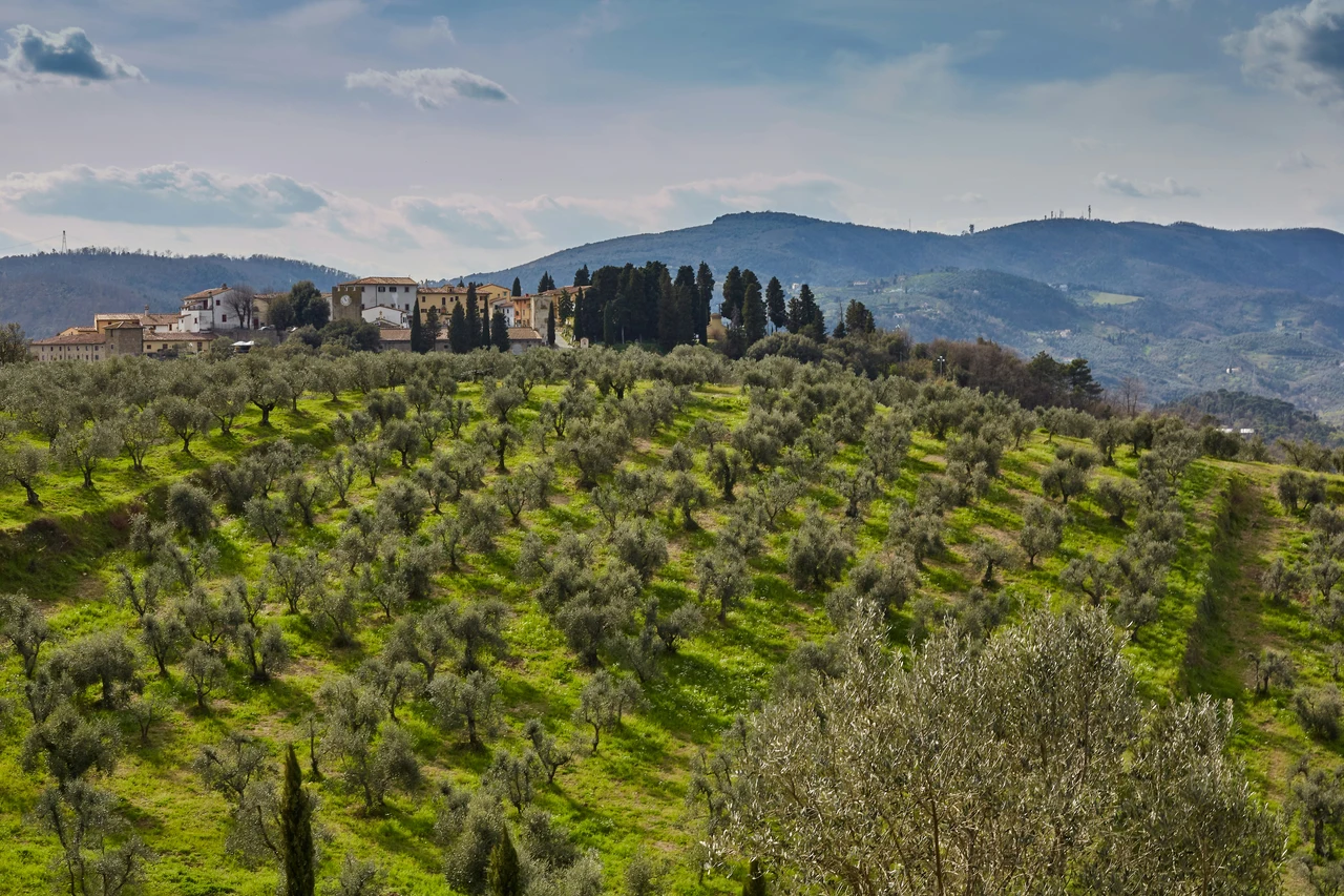 Tre cose da fare in Val d’Orcia per una vacanza indimenticabile Tre cose da fare in Val d’Orcia per una vacanza indimenticabile